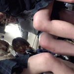 制服女子ぎゅうぎゅう痴●バス （TYD-004）